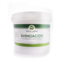 AMINOACIDS 1KG