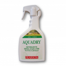 AQUADRY LOZION SHAMPOO A SECCO 700 ML